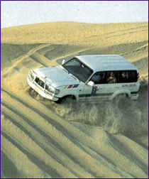 DUNES EXPERIENCE